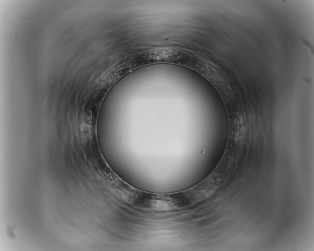 X0000101220510200807071351