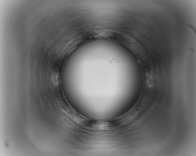 X0000101220514200807071351