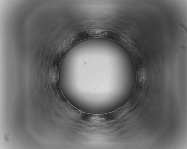 X0000101220515200807071351
