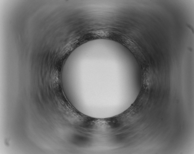 X0000101220518200807071351
