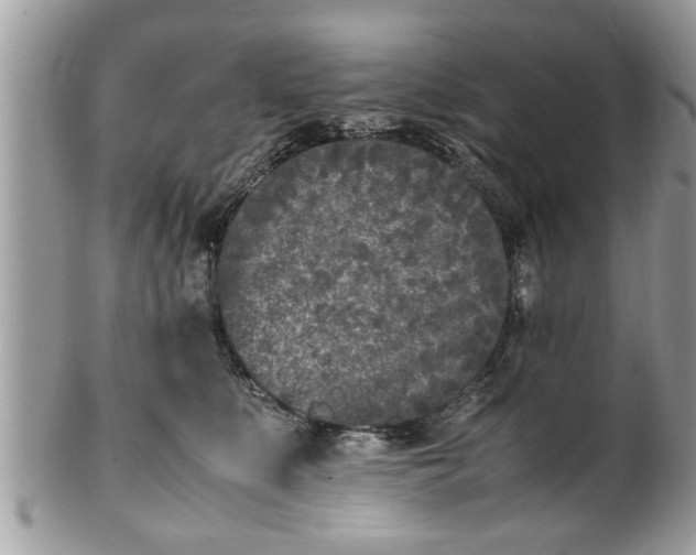 X0000101220519200807071351