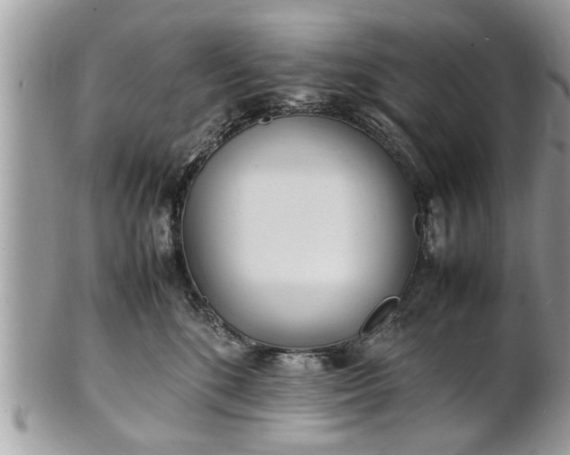 X0000101220520200807071351