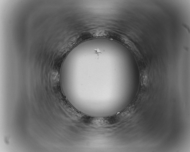 X0000101220521200807071351