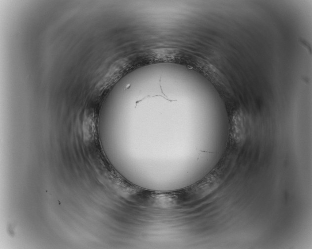 X0000101220522200807071351