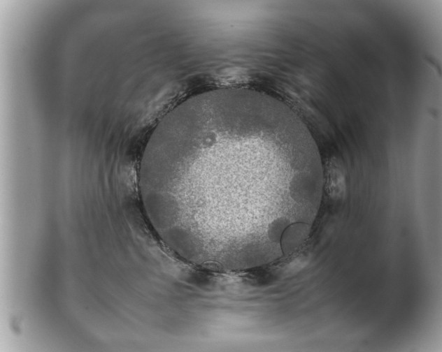 X0000101220523200807071351