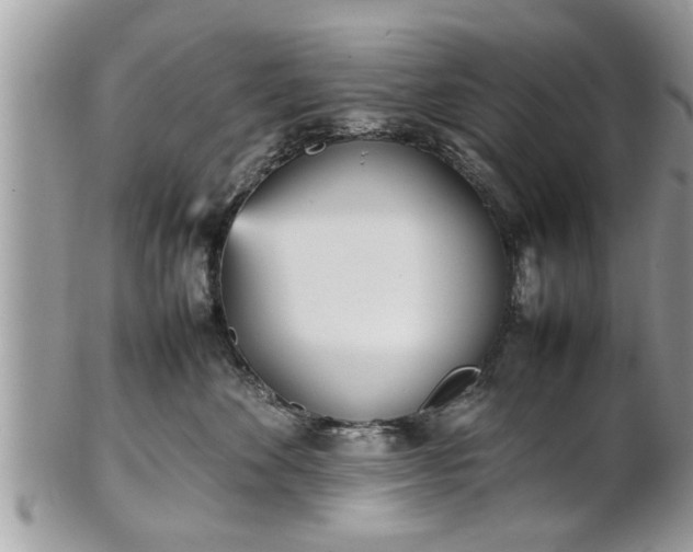 X0000101220524200807071351