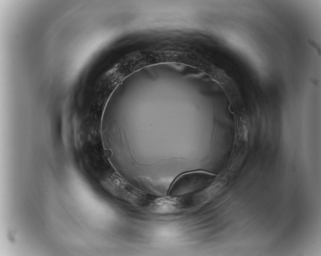 X0000101220526200807071351