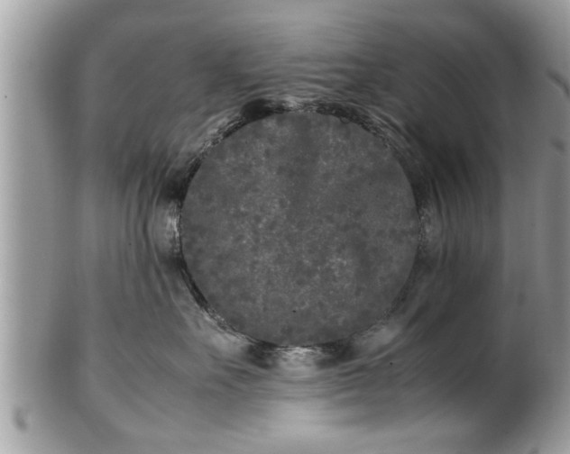 X0000101220527200807071351