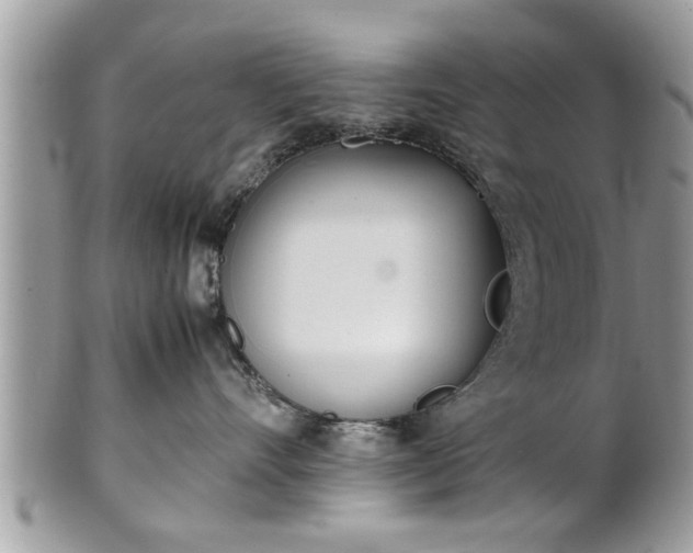 X0000101220528200807071351