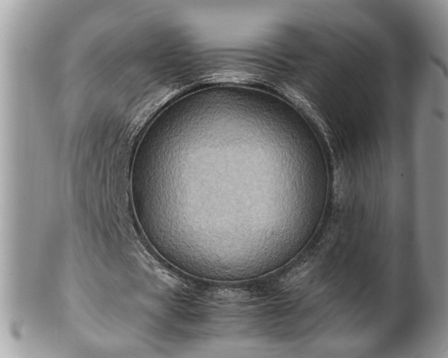 X0000101220529200807071350