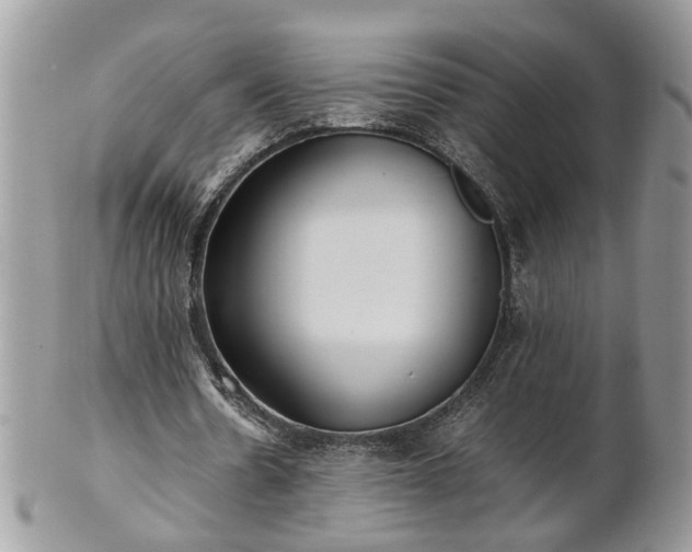 X0000101220530200807071350