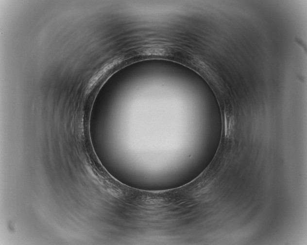 X0000101220531200807071350