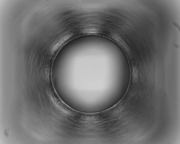 X0000101220533200807071350