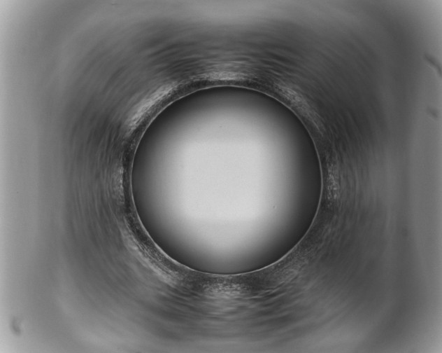 X0000101220535200807071350