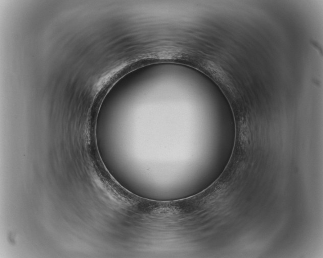 X0000101220536200807071350