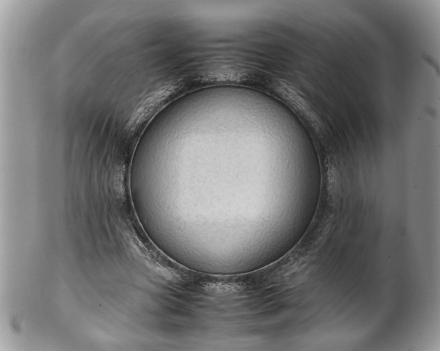 X0000101220537200807071350