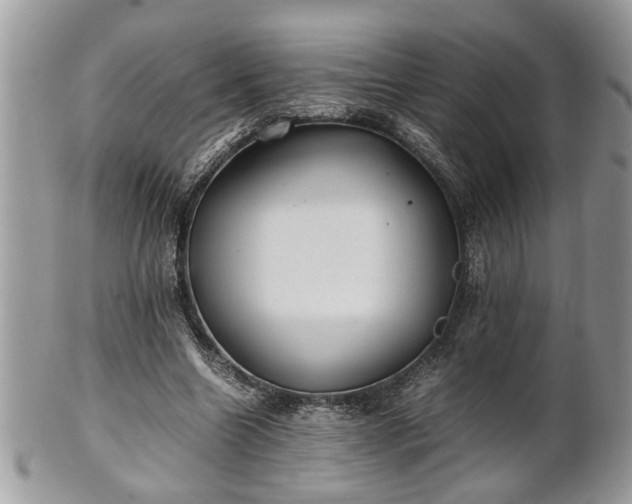 X0000101220538200807071350