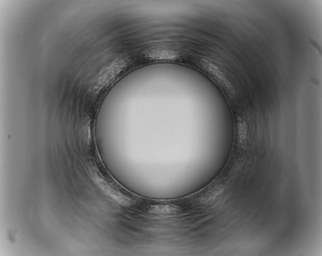 X0000101220541200807071350