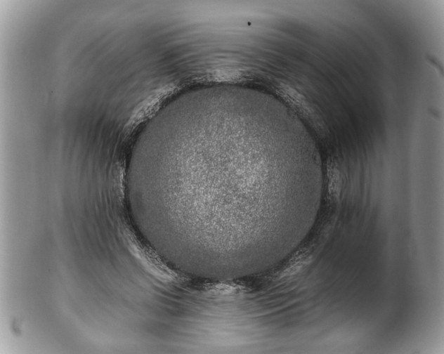 X0000101220542200807071350