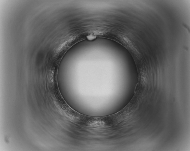 X0000101220543200807071350