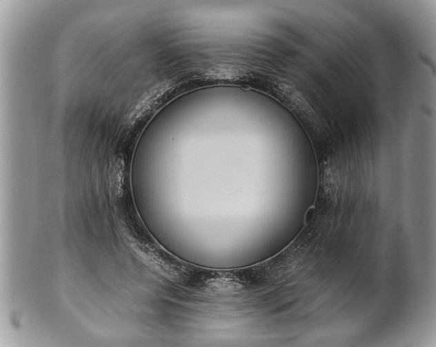 X0000101220544200807071350
