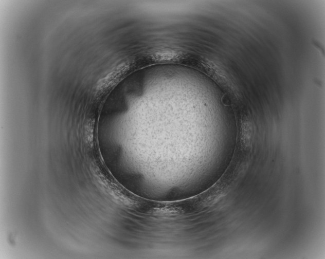 X0000101220545200807071350