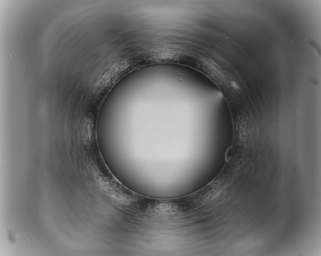 X0000101220546200807071350