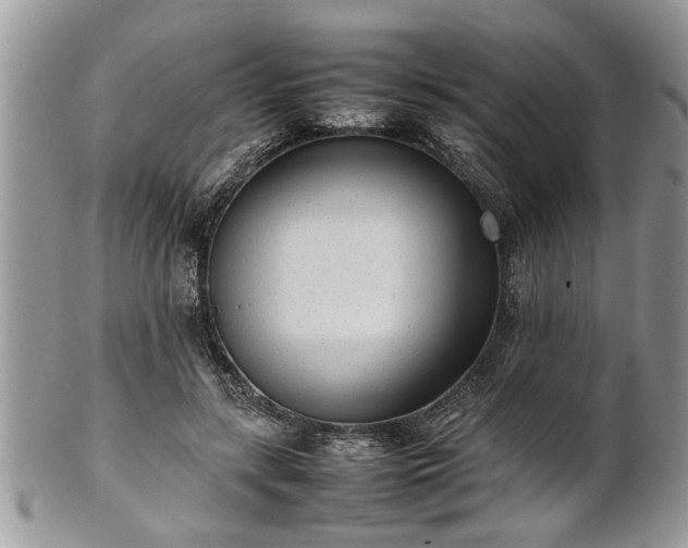 X0000101220547200807071350