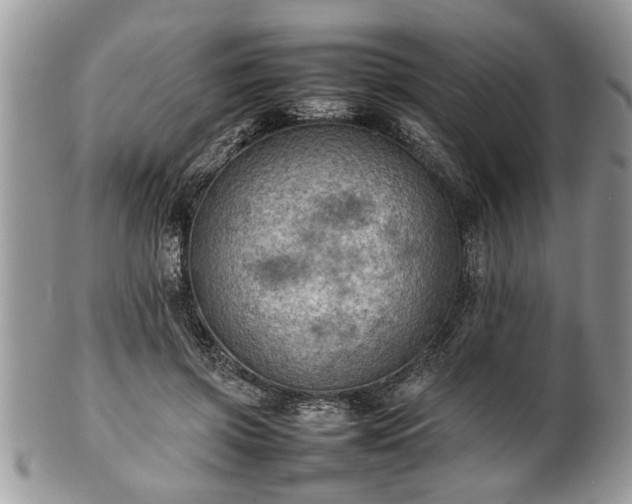 X0000101220549200807071350