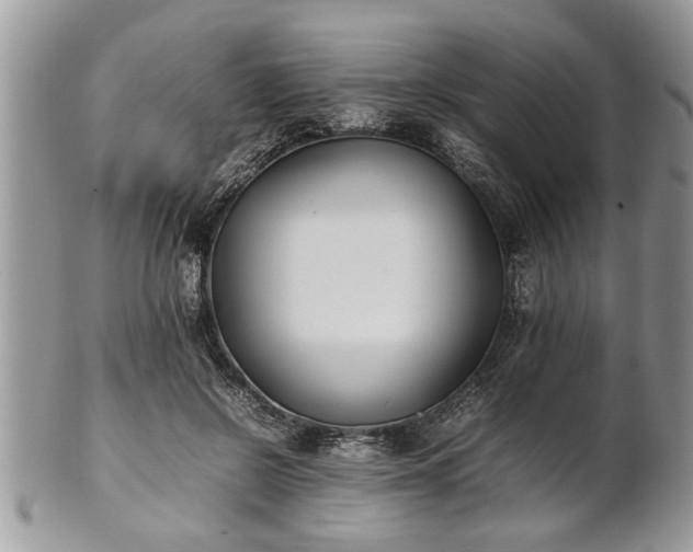 X0000101220550200807071350