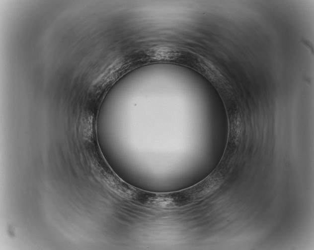 X0000101220554200807071350