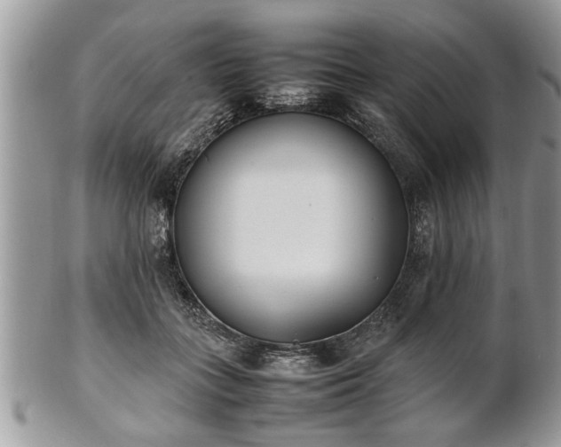 X0000101220555200807071350