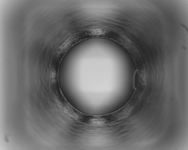 X0000101220556200807071350
