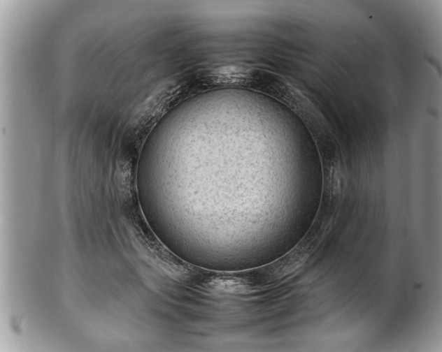 X0000101220557200807071350
