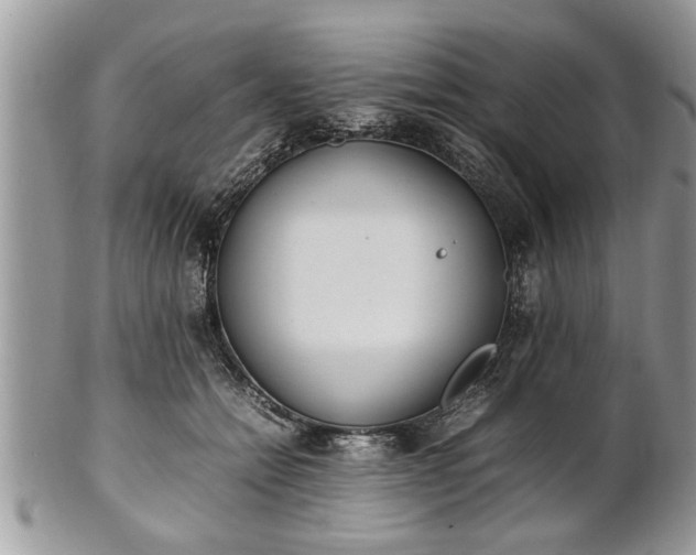 X0000101220558200807071350