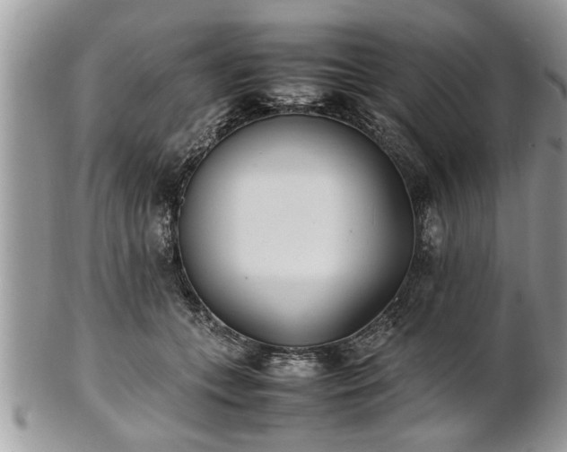 X0000101220559200807071350