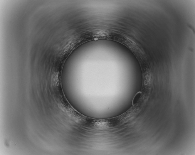 X0000101220560200807071350