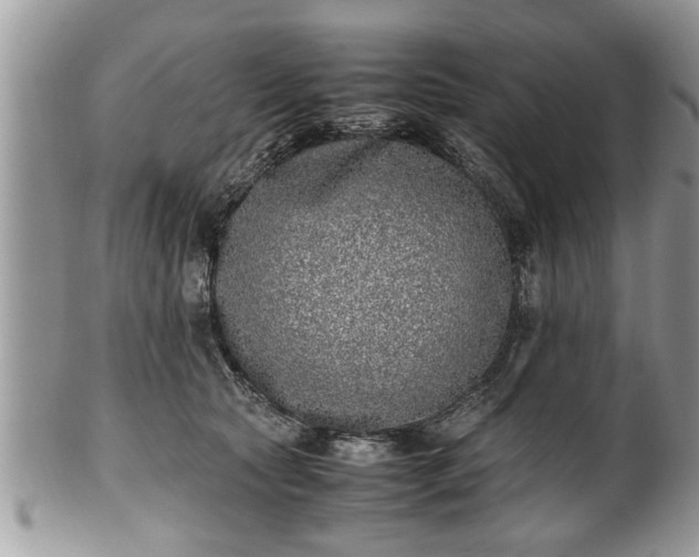 X0000101220561200807071350