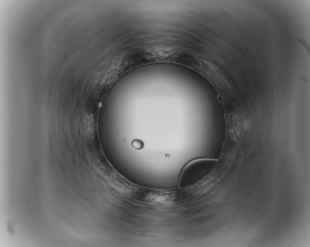 X0000101220563200807071350
