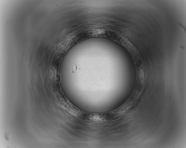 X0000101220565200807071350