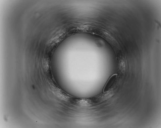 X0000101220566200807071350