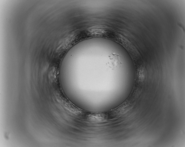 X0000101220567200807071350