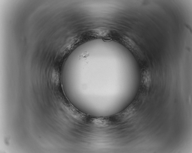 X0000101220568200807071350