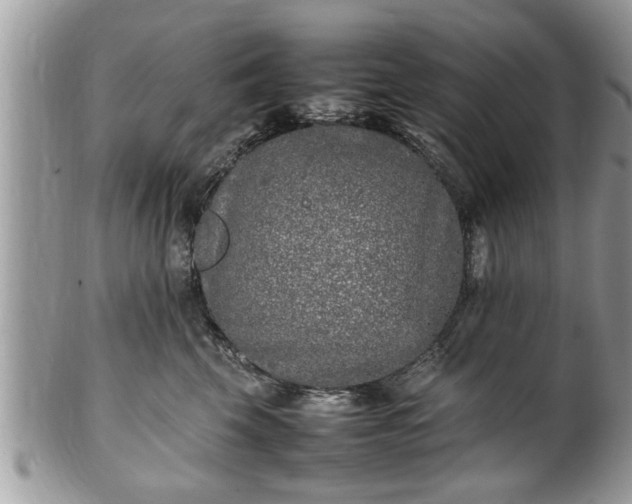 X0000101220569200807071350
