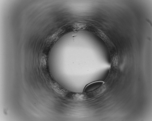 X0000101220570200807071350