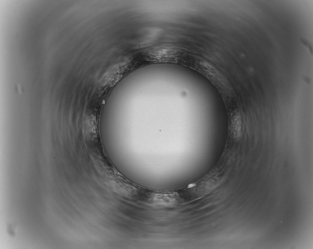 X0000101220571200807071350