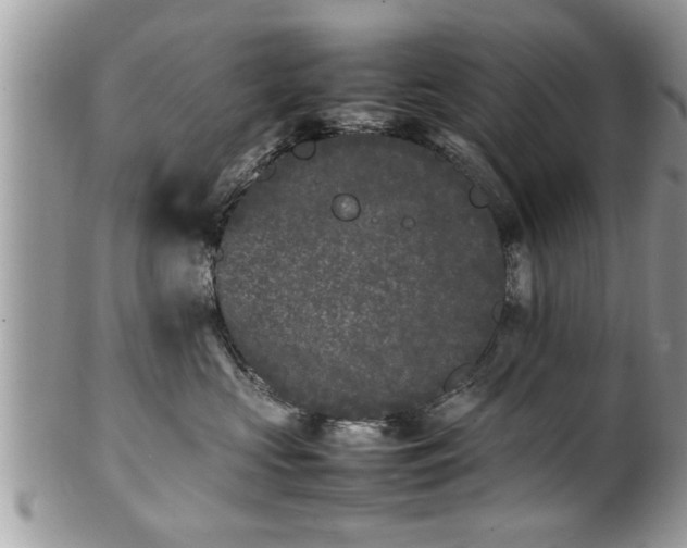 X0000101220573200807071350