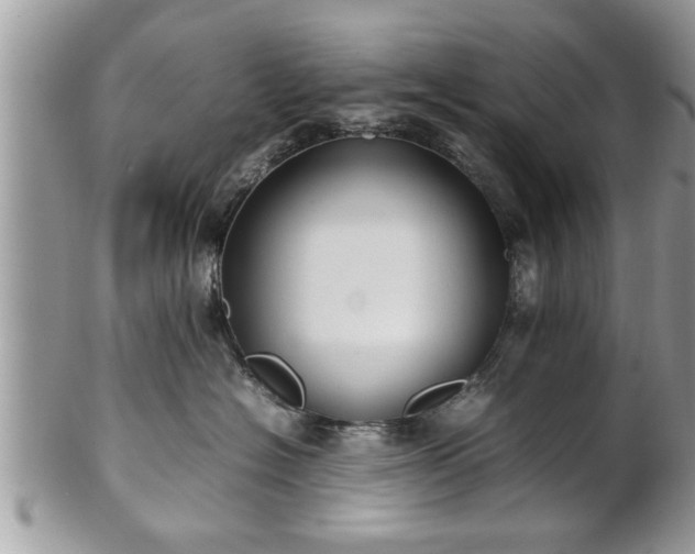 X0000101220574200807071350