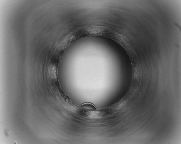 X0000101220575200807071350