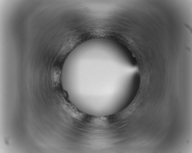 X0000101220576200807071351